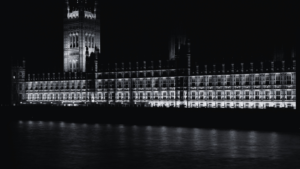 westminster black and white